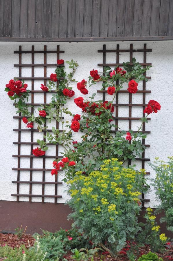 Vrtnarjeva Hisa, The Gardener'S Cottage رادوفيتْسا المظهر الخارجي الصورة
